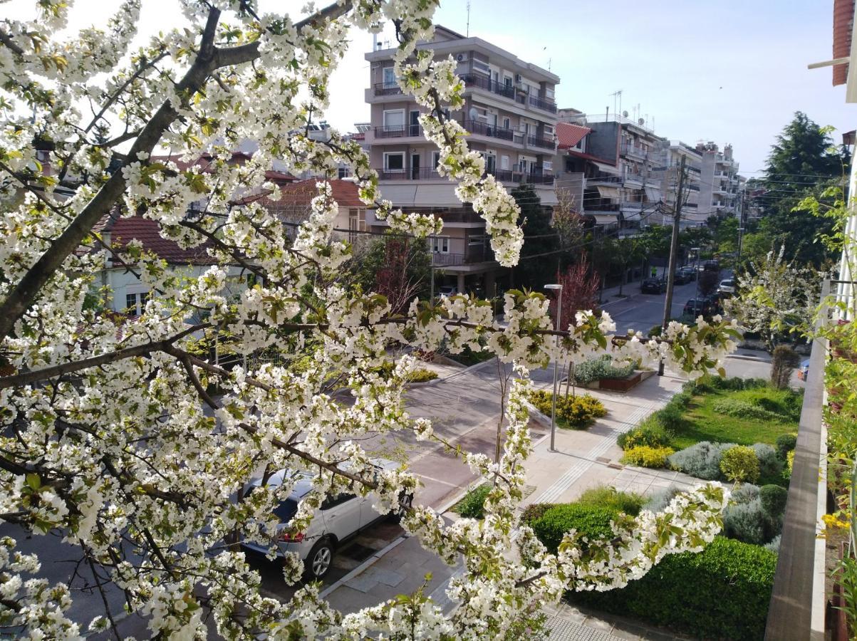 Отель Olympia Эдесса Экстерьер фото